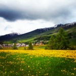 IMG_20160605_123636 - Kopie