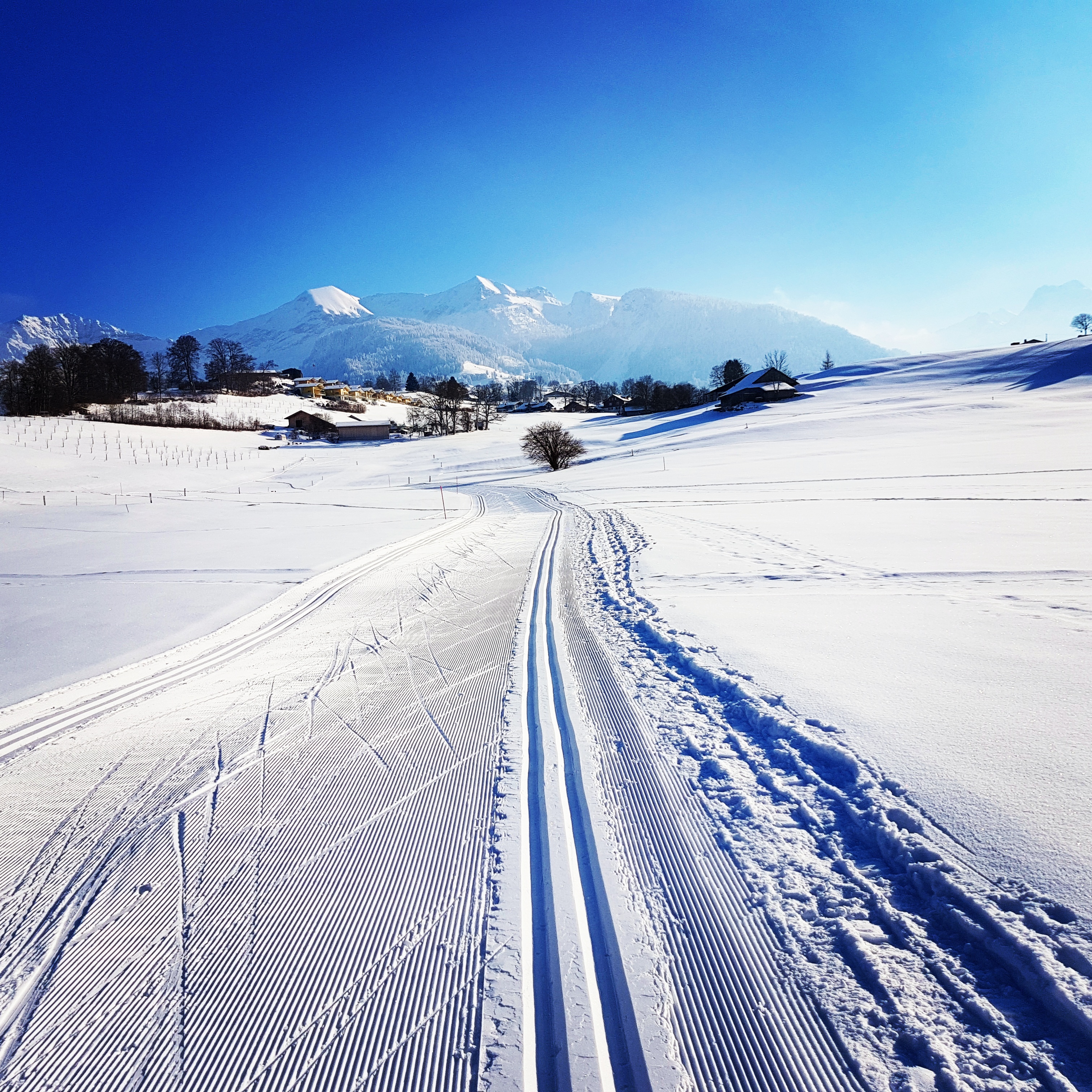 img_20170118_160655_268