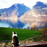 Gary... _ Flickr - Photo Sharing!.html