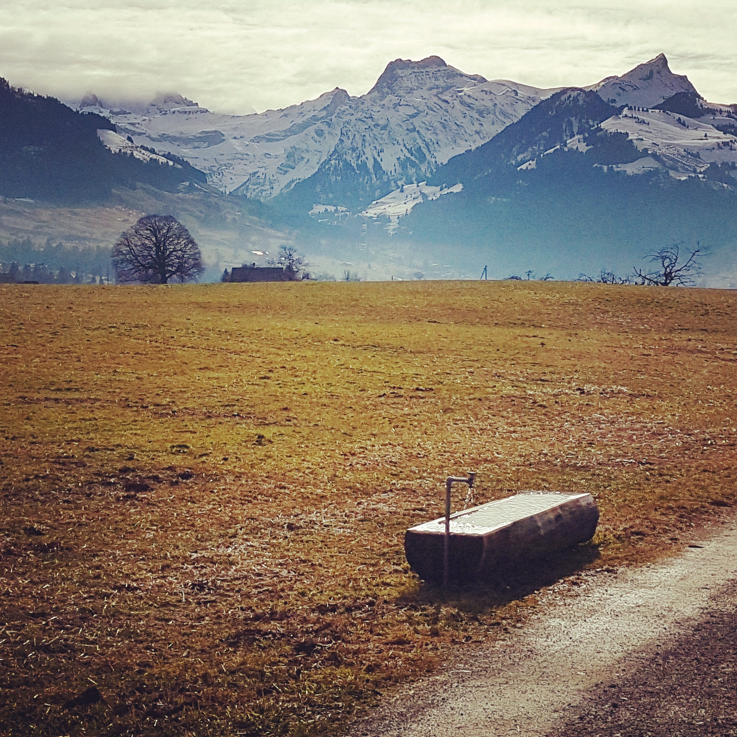 IMG_20180128_144951_476