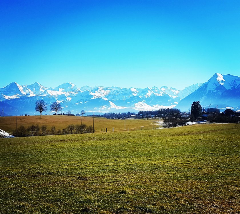 img_20190216_133706_699