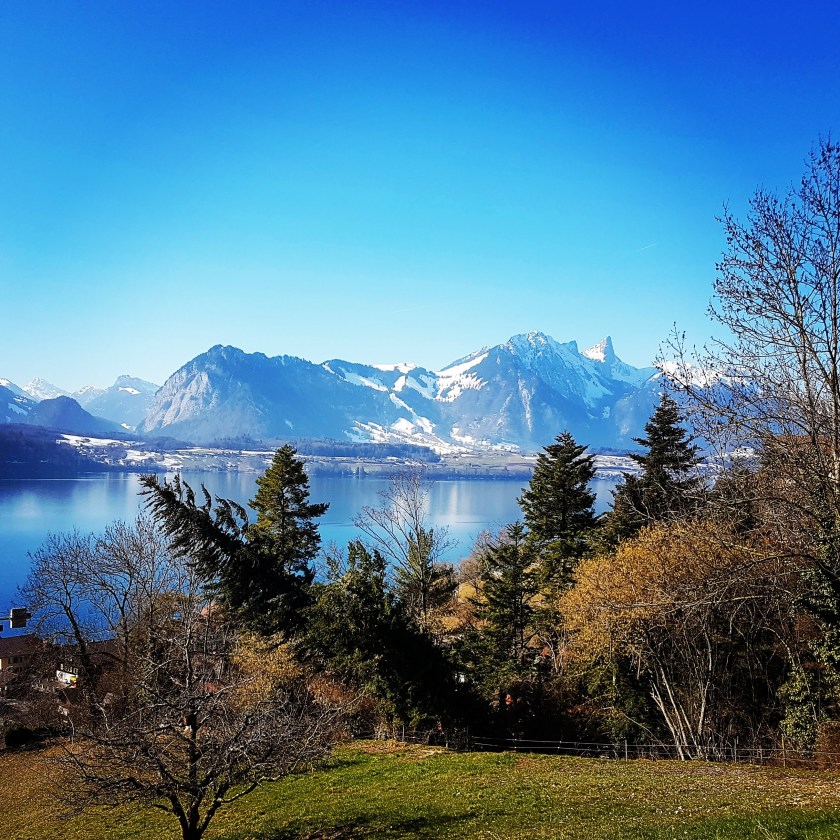 img_20190221_160013_236-1